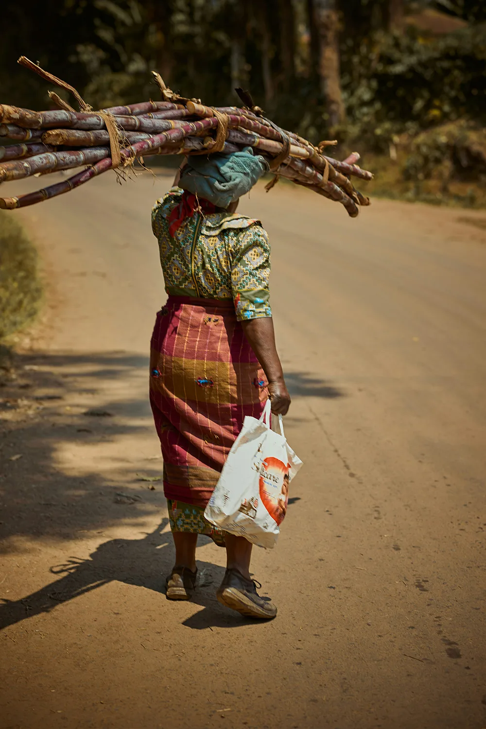 A child carries a heavy bundle of firewood on their back along a rural path.